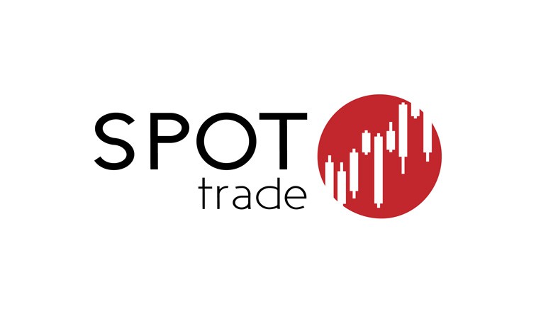 Key Concepts and Terminology in Spot Trading image 0